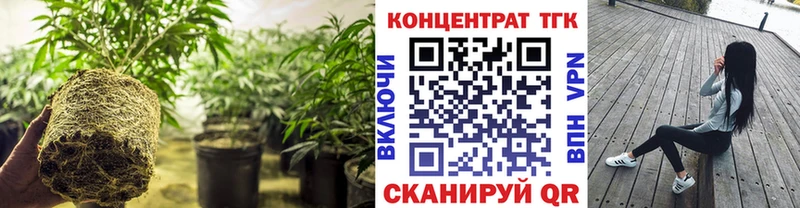 ТГК Wax  Красавино 